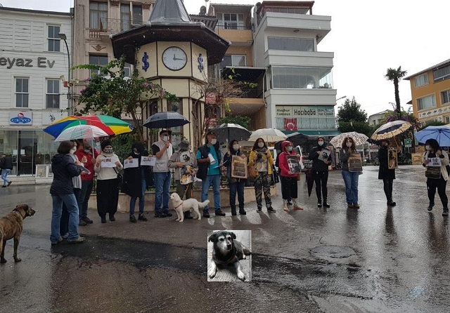 Çöp Kamyonları Can Alıyor