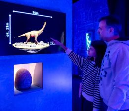 Dinozorlar DigiZoo’da Hayat Buluyor