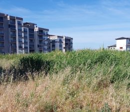 Çanakkale’de Sazlık Alan Şikayet Konusu Oldu
