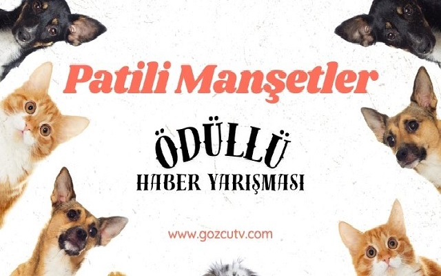 Patili Manşetler Ödüllü Haber Yarışması