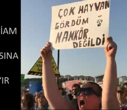 Çanakkale’de “Katliam Yasasına Hayır” Yürüyüşü Yapıldı