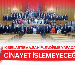 Özel; “Kısırlaştırma, Sahiplendirme Yapacağız”