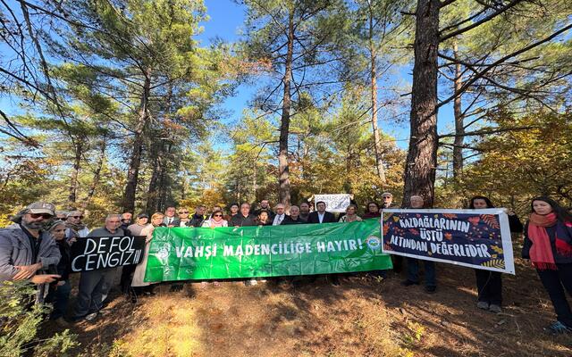 CHP Heyeti Ağaç Kesimini Durdurdu