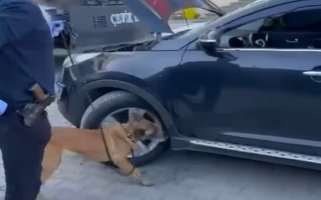 Biga’da Zehir Tacirlerine Darbe