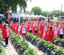 Çanakkale’nin “Kırmızı Altını” Vitrine Çıktı