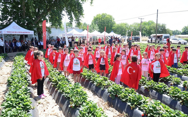 Çanakkale’nin “Kırmızı Altını” Vitrine Çıktı