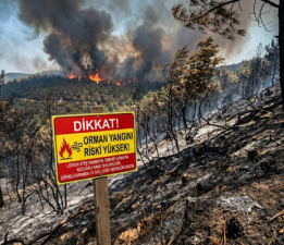 Ormanlarımızda Yangın Riski En Yüksek Seviyede