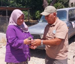Gelibolu’da Yaban Kuşlarına Şefkat Eli