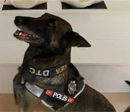 Balıkesir Savaştepe’de 3 kilo 988 gram metamfetamin operasyonu